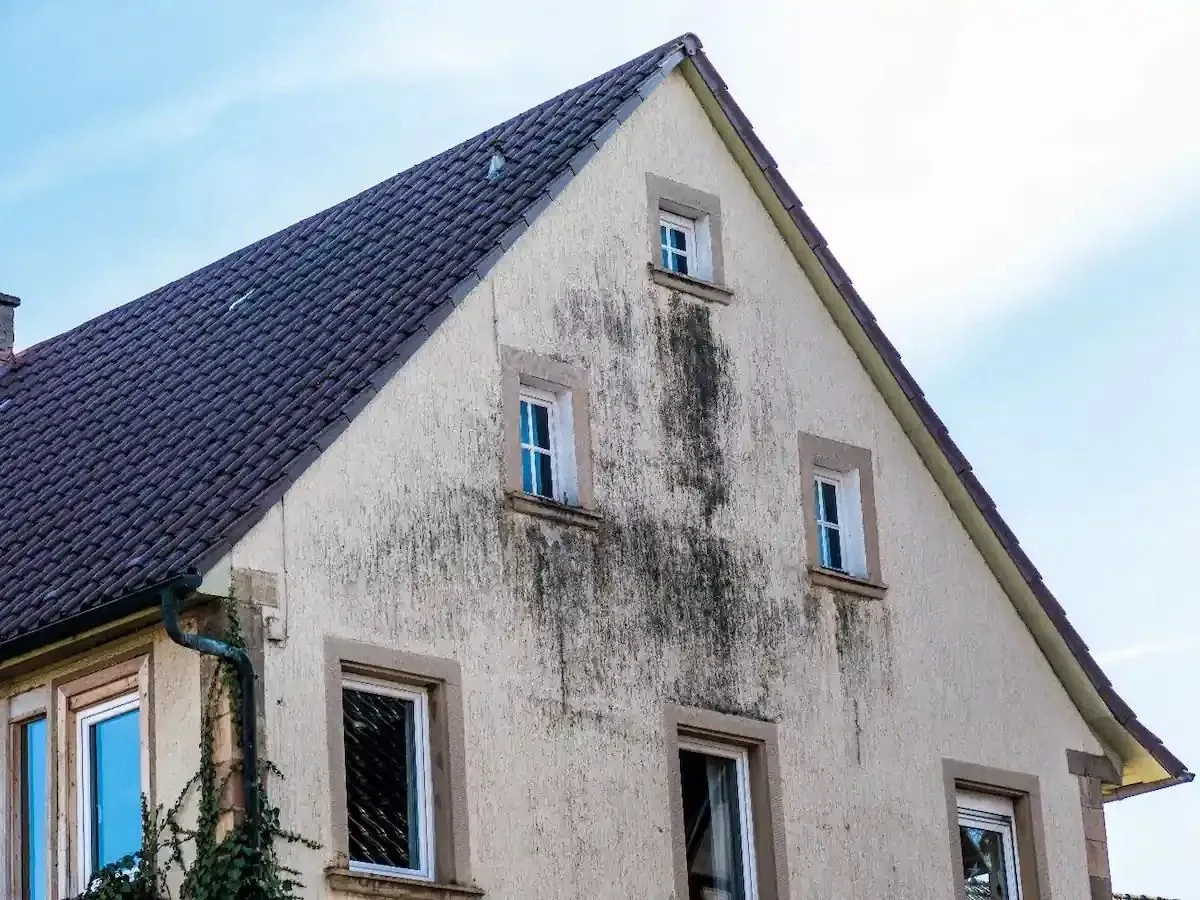 Crépi de façade à Seine-et-Marne